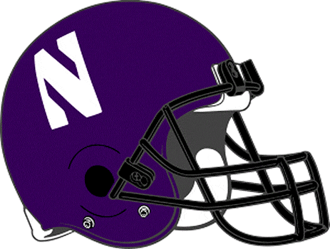 Northwestern Wildcats 1994-Pres Helmet Logo t shirts DIY iron ons